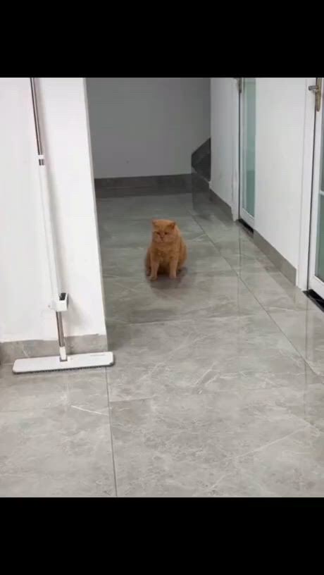 https://c.kaskus.id/media/videos/thumbnail/oklv5_thumbnail.jpg