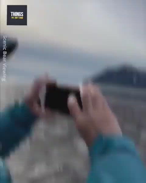 https://c.kaskus.id/media/videos/thumbnail/omjl1_thumbnail.jpg