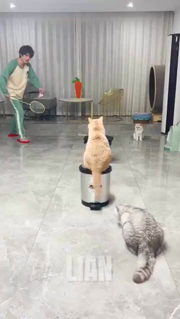 https://c.kaskus.id/media/videos/thumbnail/omlpl_thumbnail.jpg
