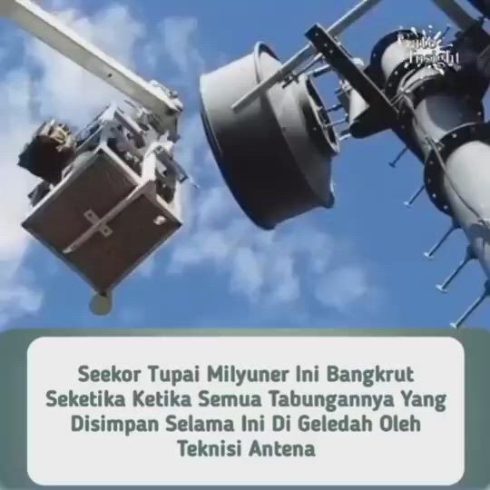 https://c.kaskus.id/media/videos/thumbnail/oqdu4_thumbnail.jpg