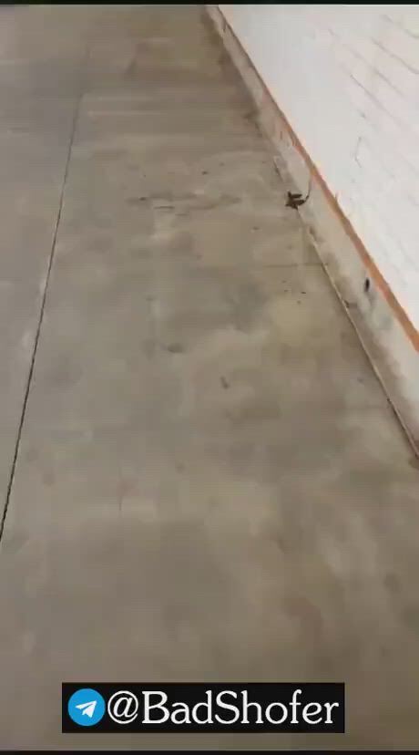https://c.kaskus.id/media/videos/thumbnail/pk509_thumbnail.jpg