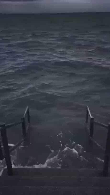 https://c.kaskus.id/media/videos/thumbnail/pzd5d_thumbnail.jpg