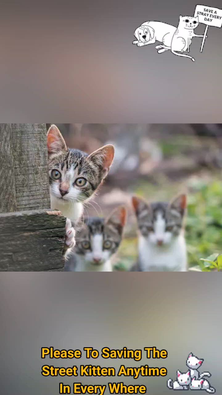 https://c.kaskus.id/media/videos/thumbnail/qbrgu_thumbnail.jpg