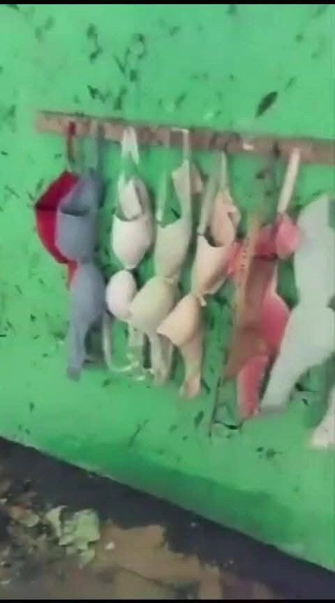 https://c.kaskus.id/media/videos/thumbnail/quppk_thumbnail.jpg