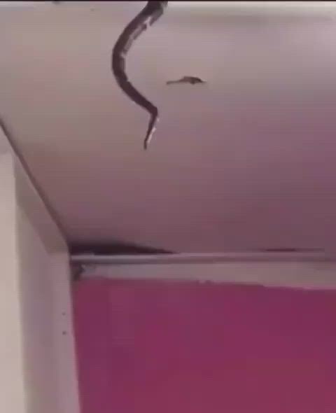 https://c.kaskus.id/media/videos/thumbnail/quqai_thumbnail.jpg