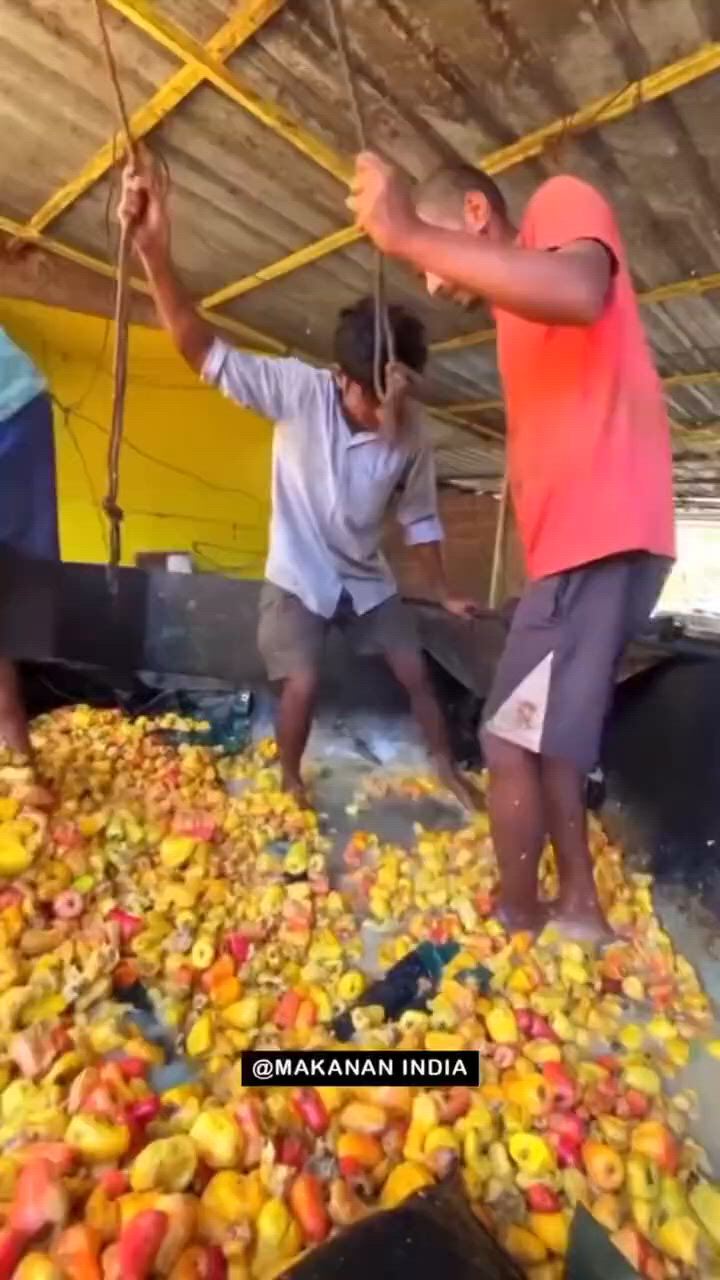 https://c.kaskus.id/media/videos/thumbnail/qvrdk_thumbnail.jpg