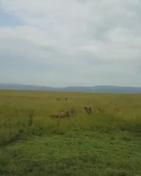 https://c.kaskus.id/media/videos/thumbnail/qyqpk_thumbnail.jpg