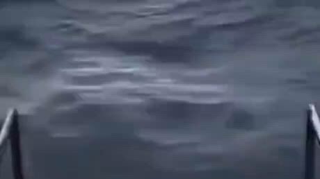 https://c.kaskus.id/media/videos/thumbnail/qyypq_thumbnail.jpg