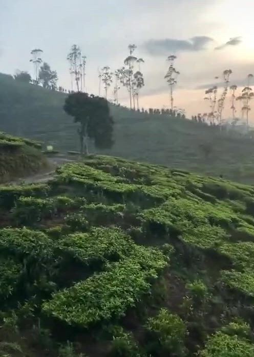 https://c.kaskus.id/media/videos/thumbnail/qyzjo_thumbnail.jpg