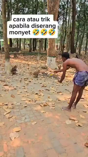 https://c.kaskus.id/media/videos/thumbnail/r4z0j_thumbnail.jpg