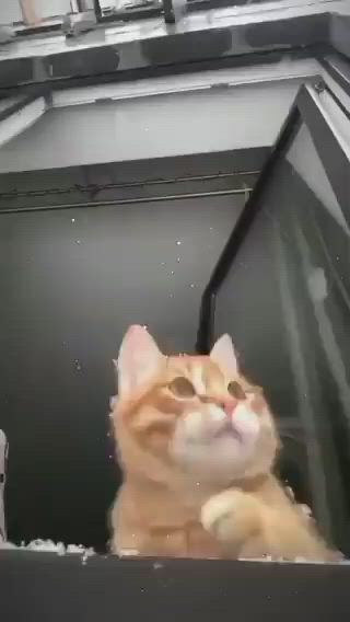 https://c.kaskus.id/media/videos/thumbnail/r5zhw_thumbnail.jpg