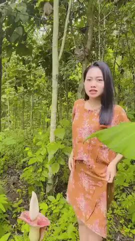 https://c.kaskus.id/media/videos/thumbnail/rhafv_thumbnail.jpg