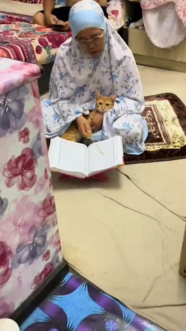 https://c.kaskus.id/media/videos/thumbnail/rvbxg_thumbnail.jpg