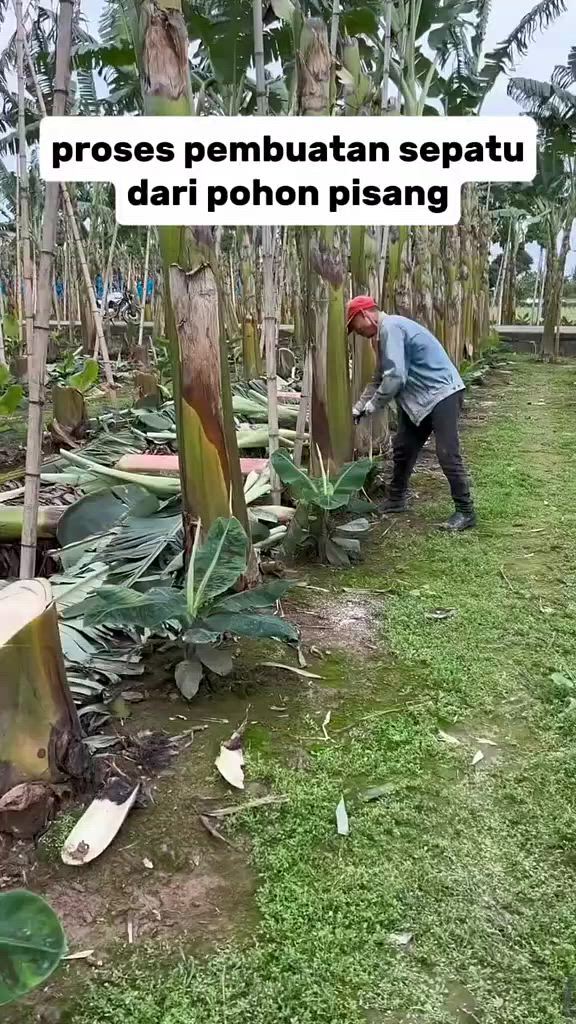 https://c.kaskus.id/media/videos/thumbnail/rwqbi_thumbnail.jpg