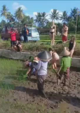 https://c.kaskus.id/media/videos/thumbnail/s3do3_thumbnail.jpg