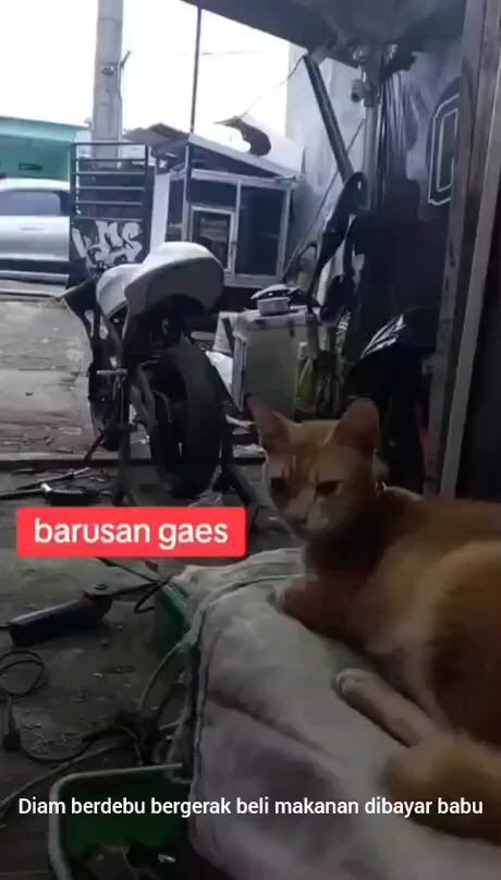 https://c.kaskus.id/media/videos/thumbnail/s4ioy_thumbnail.jpg