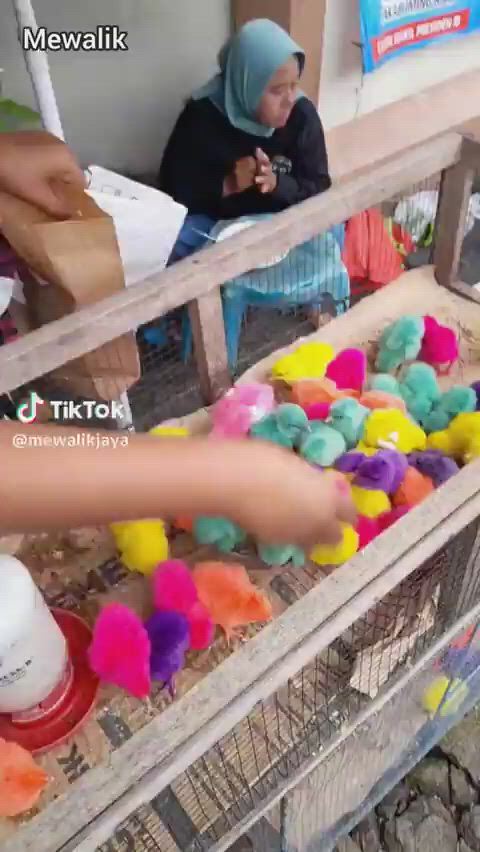 https://c.kaskus.id/media/videos/thumbnail/sah9a_thumbnail.jpg