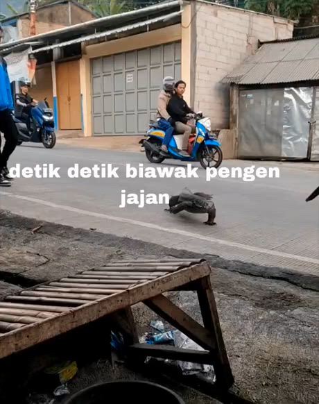 https://c.kaskus.id/media/videos/thumbnail/sigrx_thumbnail.jpg