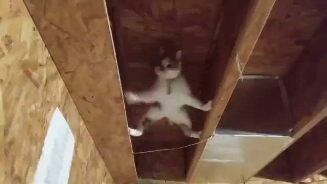 https://c.kaskus.id/media/videos/thumbnail/tbhud_thumbnail.jpg