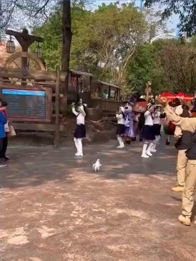 https://c.kaskus.id/media/videos/thumbnail/tbvd8_thumbnail.jpg