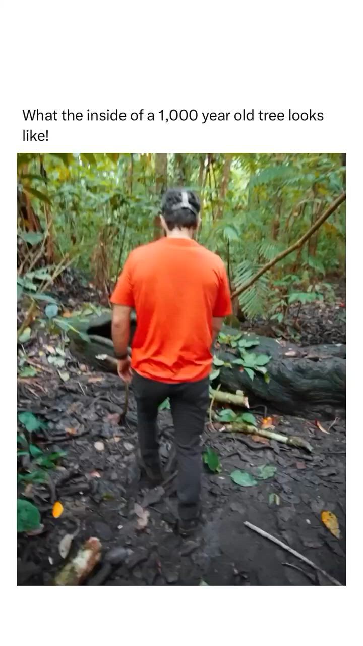 https://c.kaskus.id/media/videos/thumbnail/tscry_thumbnail.jpg