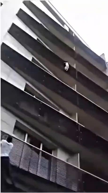 https://c.kaskus.id/media/videos/thumbnail/tyqfc_thumbnail.jpg