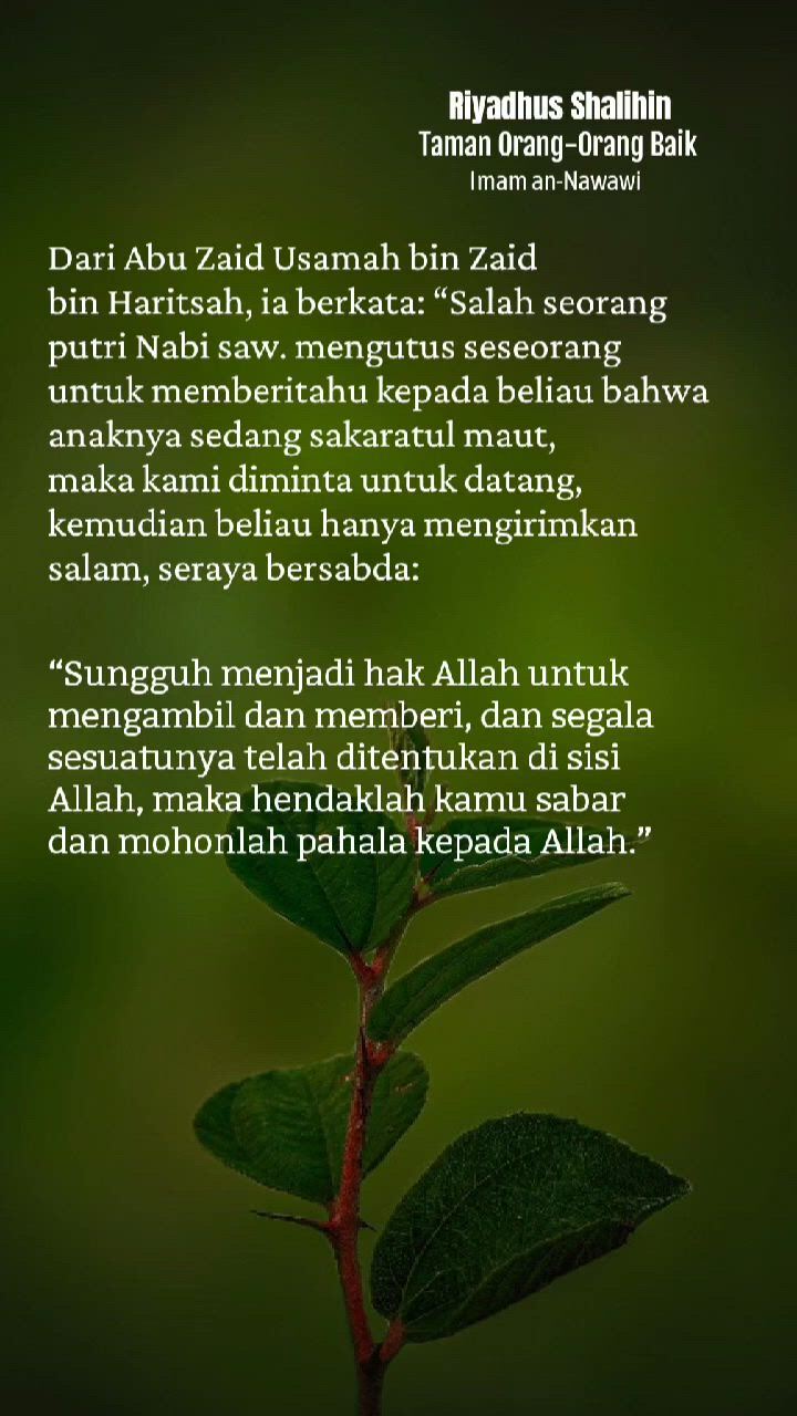 https://c.kaskus.id/media/videos/thumbnail/u1i5d_thumbnail.jpg