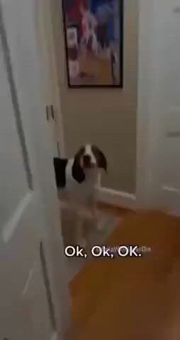 https://c.kaskus.id/media/videos/thumbnail/umdjt_thumbnail.jpg