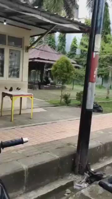 https://c.kaskus.id/media/videos/thumbnail/umi67_thumbnail.jpg