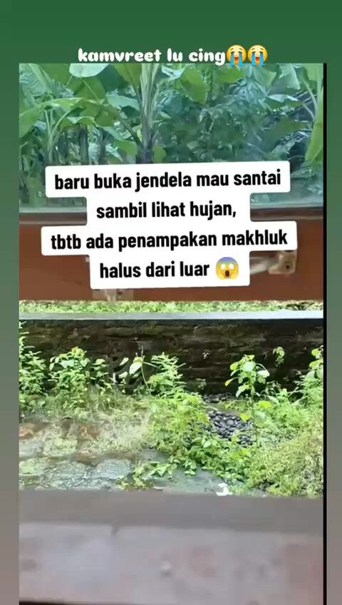 https://c.kaskus.id/media/videos/thumbnail/umxdf_thumbnail.jpg