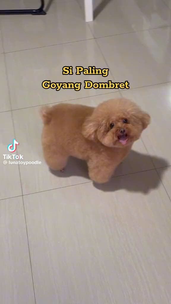 https://c.kaskus.id/media/videos/thumbnail/vcamw_thumbnail.jpg