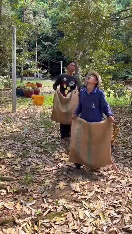 https://c.kaskus.id/media/videos/thumbnail/vjch5_thumbnail.jpg