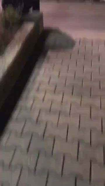 https://c.kaskus.id/media/videos/thumbnail/voabr_thumbnail.jpg