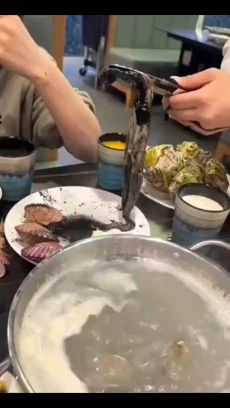 https://c.kaskus.id/media/videos/thumbnail/vyvap_thumbnail.jpg