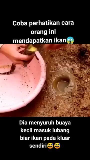 https://c.kaskus.id/media/videos/thumbnail/whx1b_thumbnail.jpg