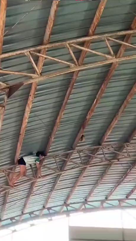 https://c.kaskus.id/media/videos/thumbnail/wltqp_thumbnail.jpg