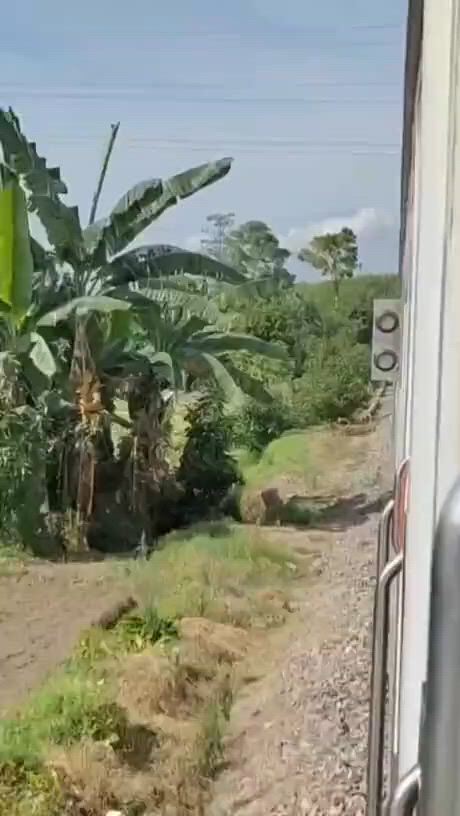 https://c.kaskus.id/media/videos/thumbnail/wrjed_thumbnail.jpg