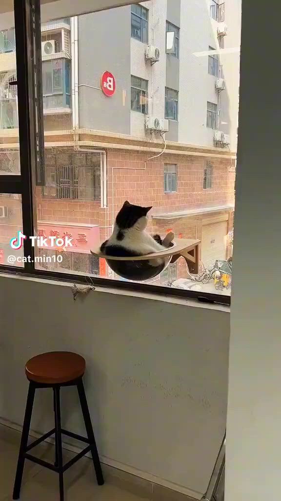 https://c.kaskus.id/media/videos/thumbnail/xjhtt_thumbnail.jpg