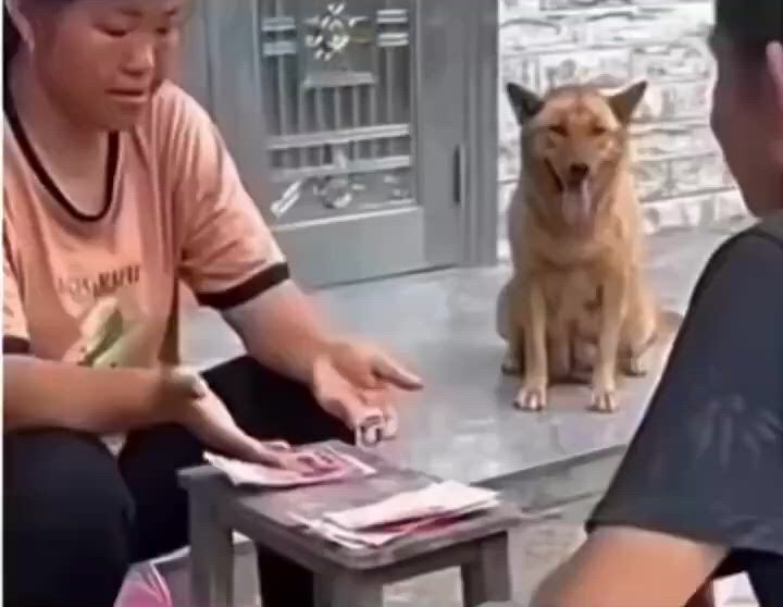 https://c.kaskus.id/media/videos/thumbnail/xkqj7_thumbnail.jpg