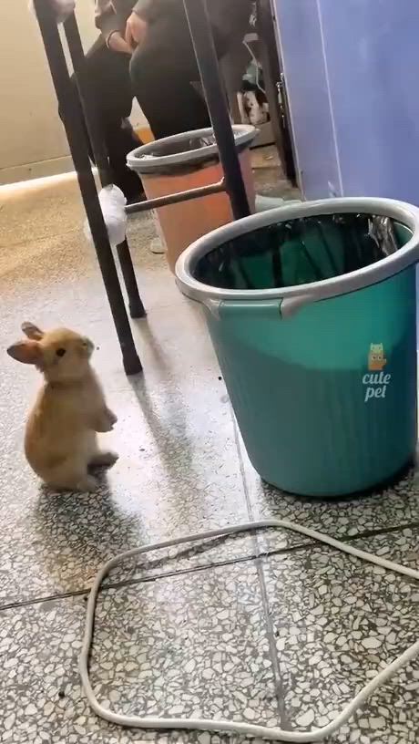 https://c.kaskus.id/media/videos/thumbnail/xosns_thumbnail.jpg