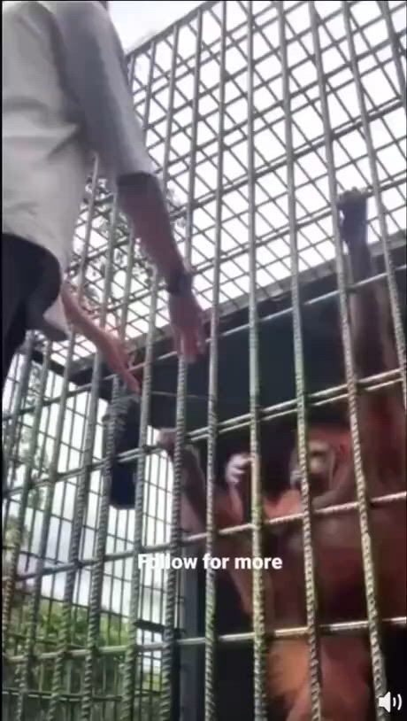 https://c.kaskus.id/media/videos/thumbnail/y7srl_thumbnail.jpg