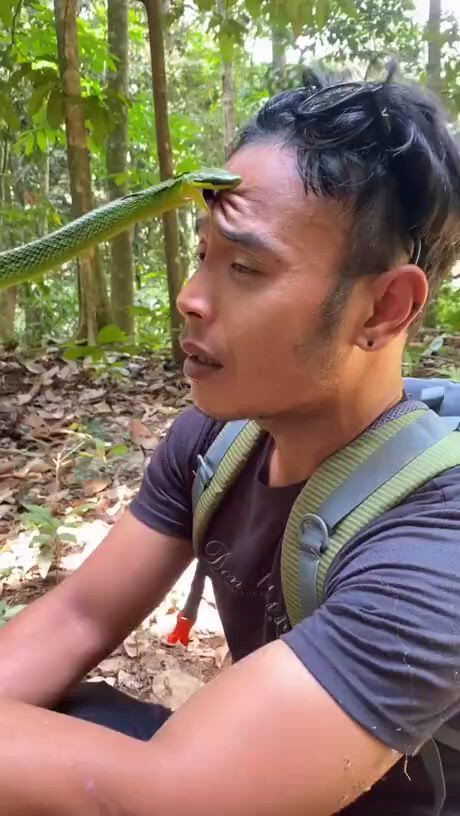 https://c.kaskus.id/media/videos/thumbnail/yakeh_thumbnail.jpg