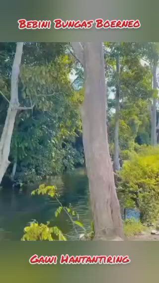 https://c.kaskus.id/media/videos/thumbnail/yjq8o_thumbnail.jpg