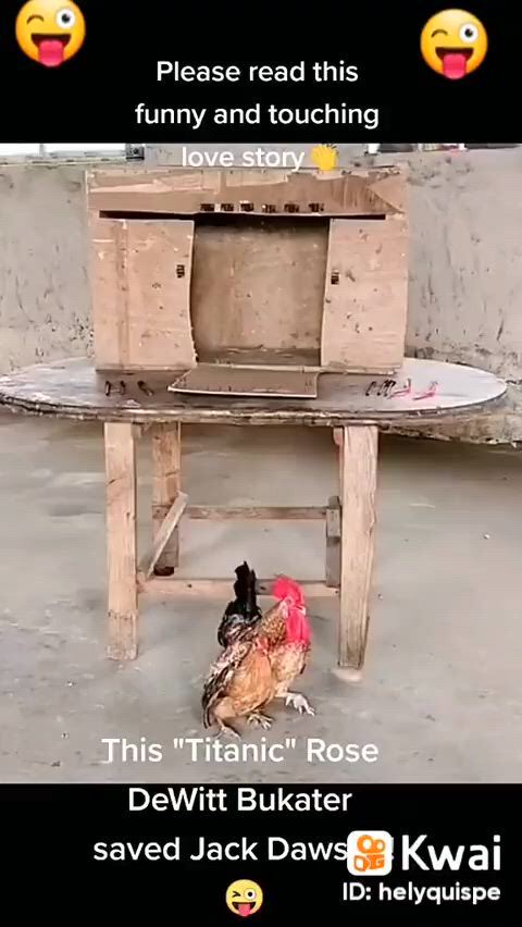 https://c.kaskus.id/media/videos/thumbnail/z6qqs_thumbnail.jpg
