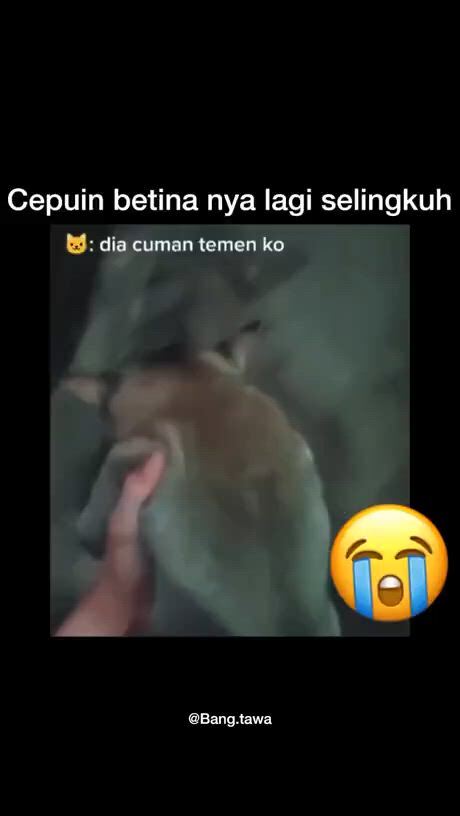 https://c.kaskus.id/media/videos/thumbnail/zbcbz_thumbnail.jpg