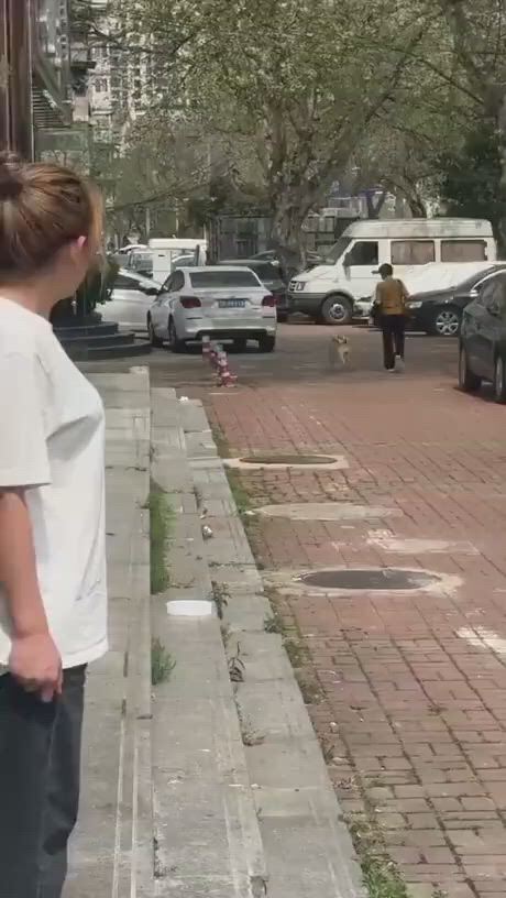 https://c.kaskus.id/media/videos/thumbnail/zhvf8_thumbnail.jpg