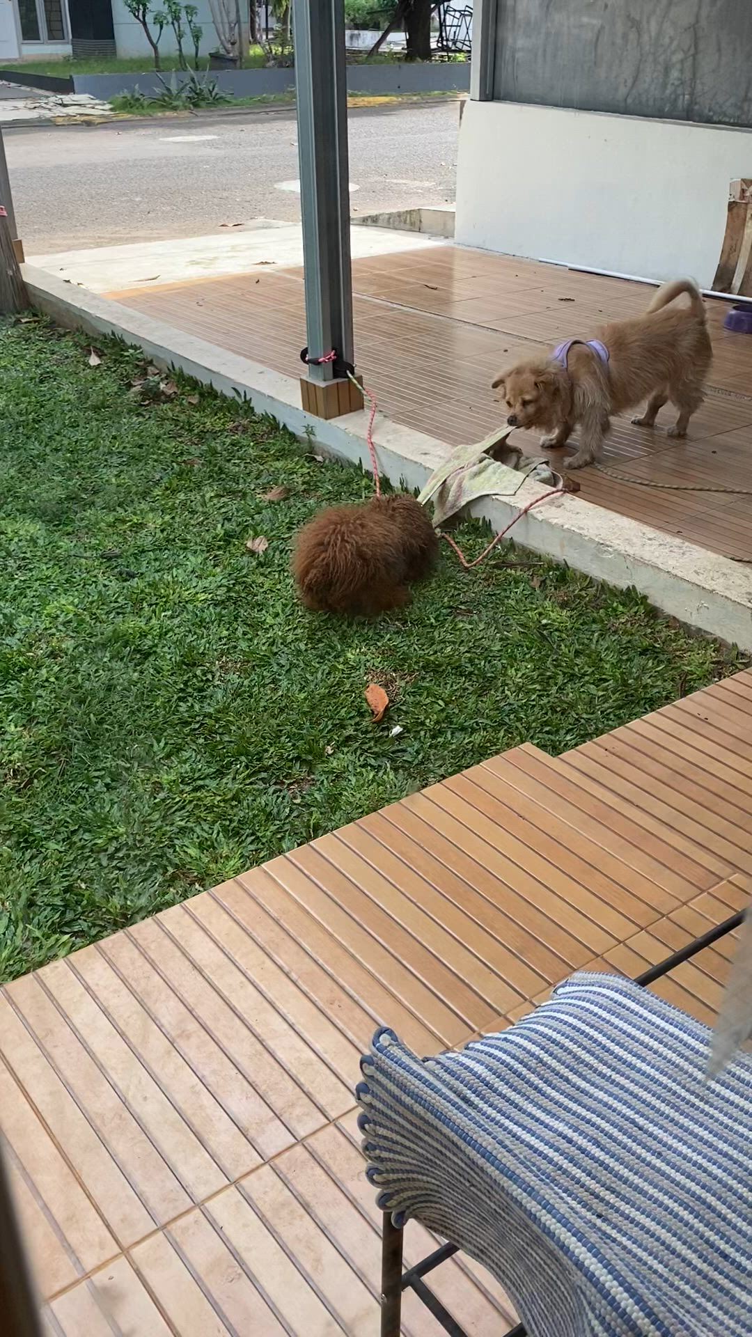 https://c.kaskus.id/media/videos/thumbnail/zk473_thumbnail.jpg