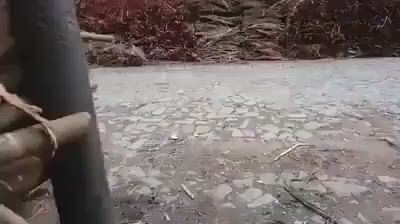 https://c.kaskus.id/media/videos/thumbnail/zvwgv_thumbnail.jpg