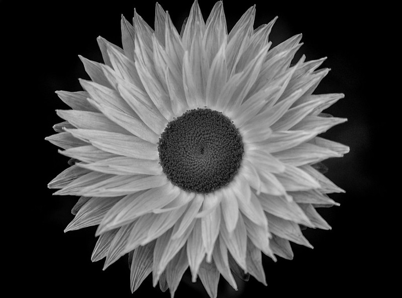 saung-lensa-manual---part-4