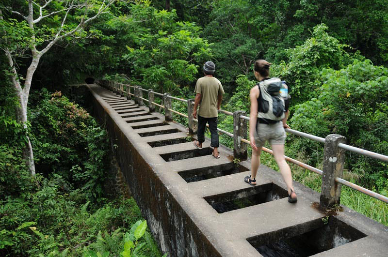 Wisata Alam Lombok: Dari Gili Hingga Bukit